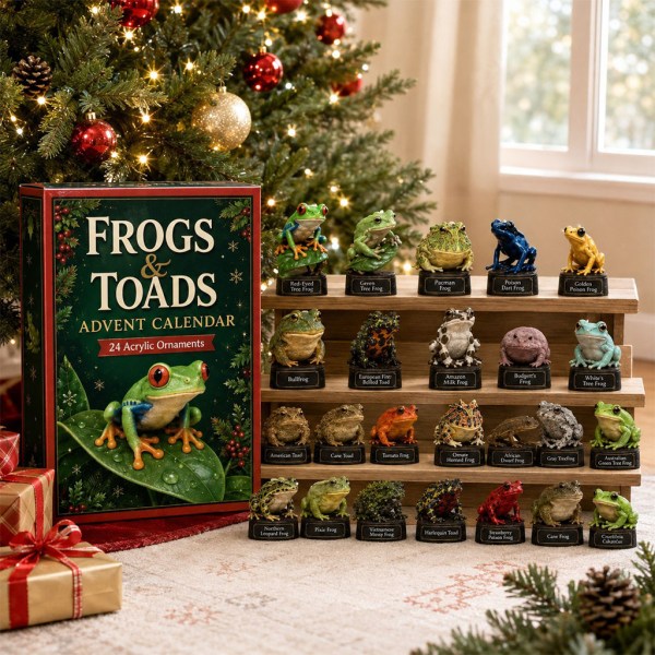 24-Day Frogs And Toads Advent Calendar 2026 Christmas Countdown Gifts for Frog Lovers - Image 2