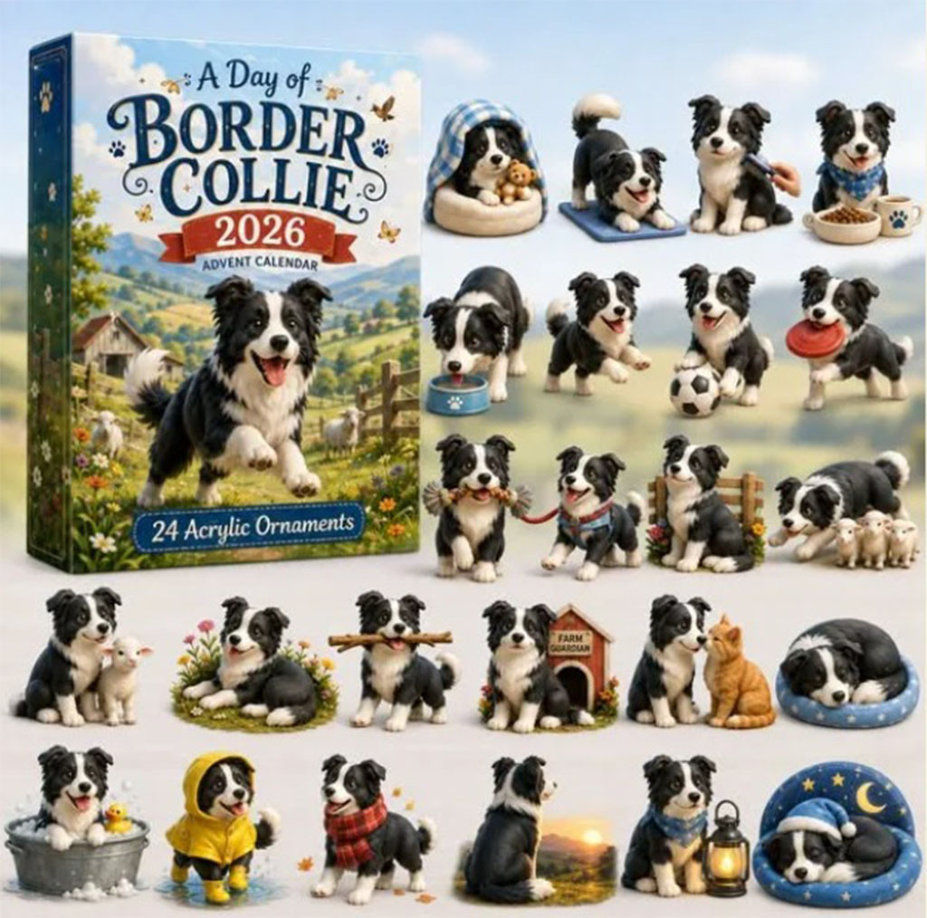 24 Days of Border Collie Enchanted Storybook Advent Calendar 24 Acrylic Christmas Ornaments
