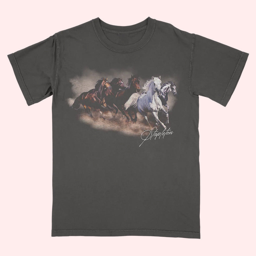 Chris Stapleton Merch Stapleton Horses T-Shirt Gifts For Father