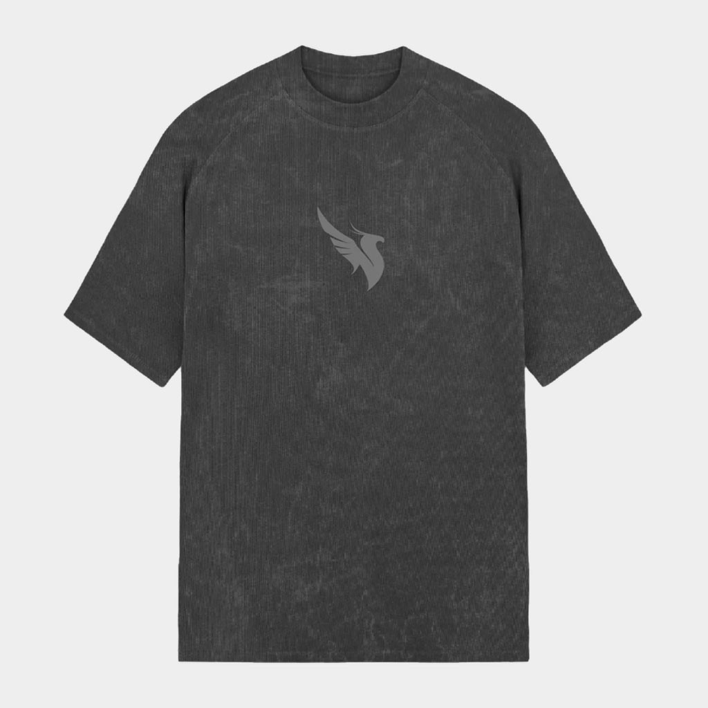 Illenium Merch Logo T-Shirt Birthday Gift Ideas For Brother