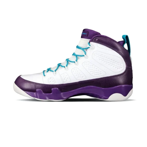 Men's Nike Air Jordan 9 Purple Shoes