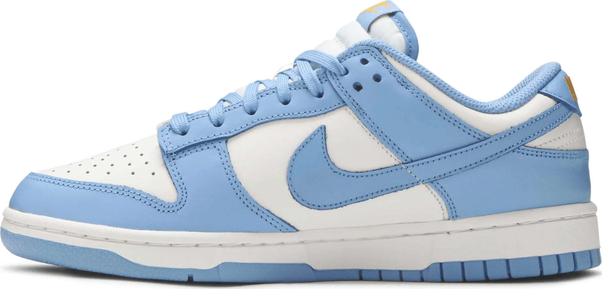 Men's SB Dunk Low Coast Shoes