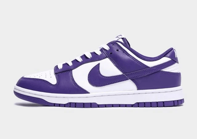 Men's SB Dunk Low Court Purple Shoes