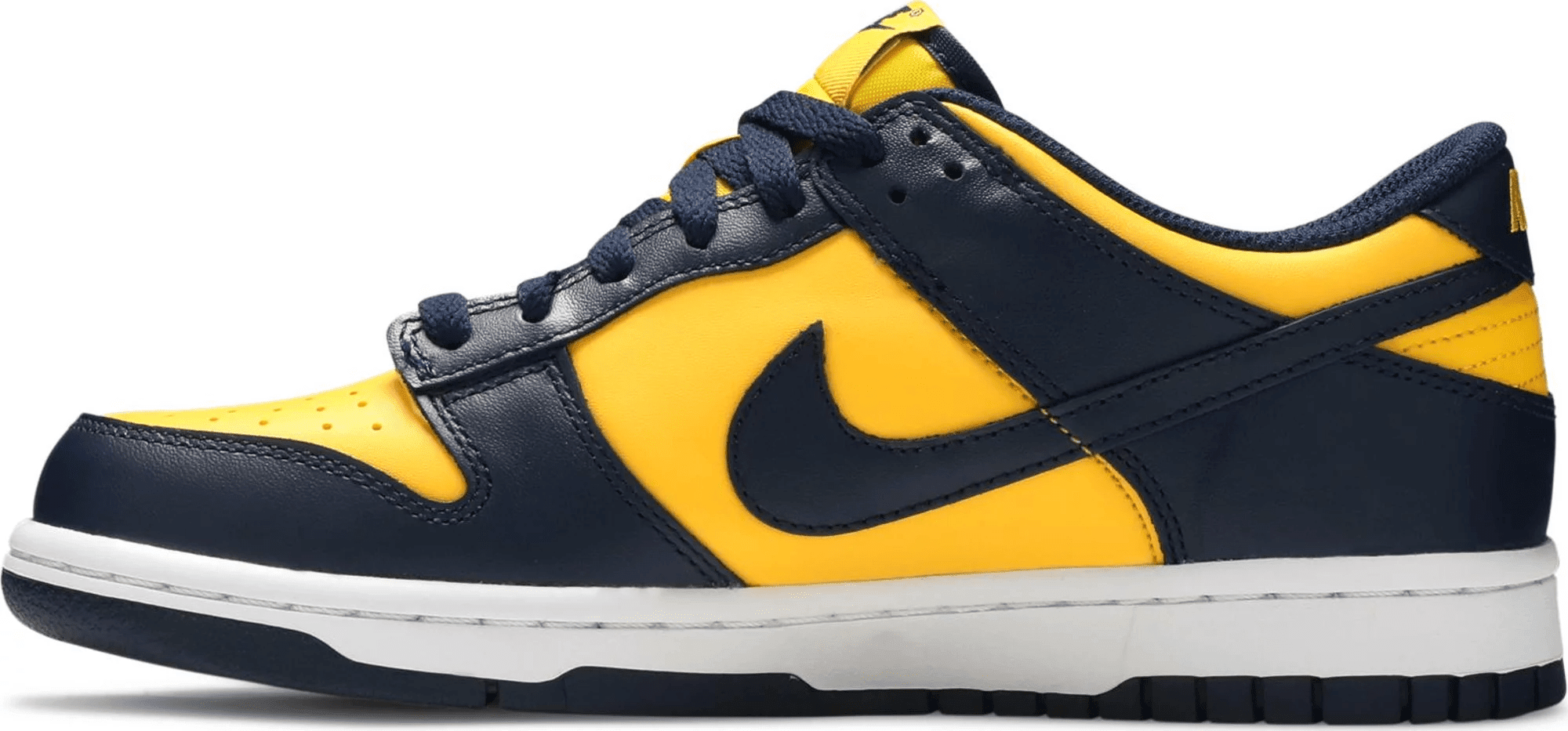 Men's SB Dunk Low GS Michigan Shoes