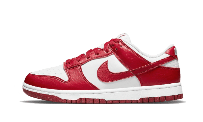 Men's SB Dunk Low Gym Red Shoes
