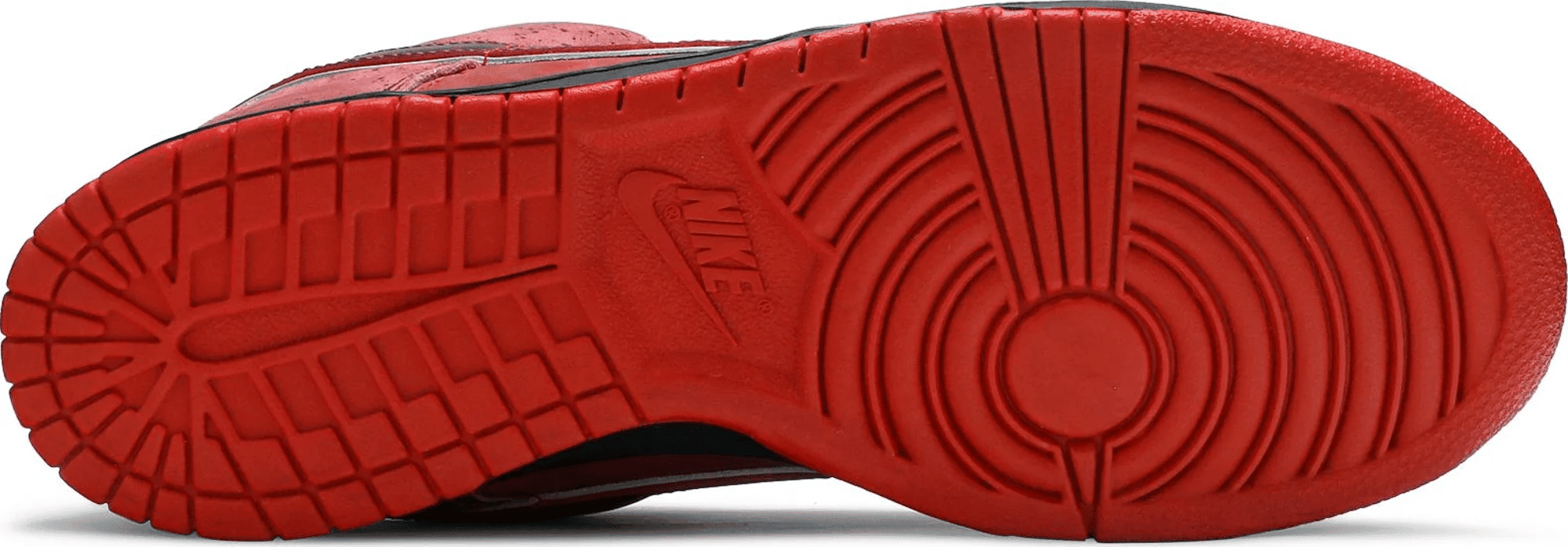 Men's SB Dunk Low Premium Lobster Shoes - Image 5