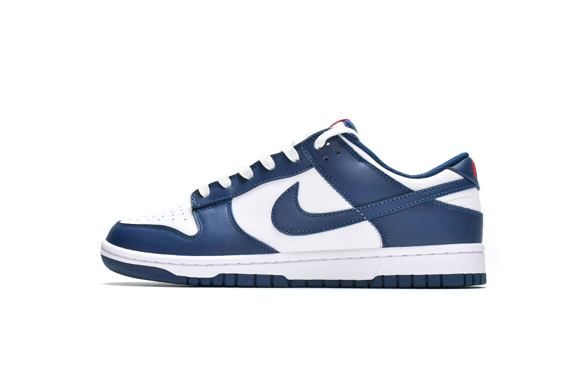 Men's SB Dunk Low Shoes