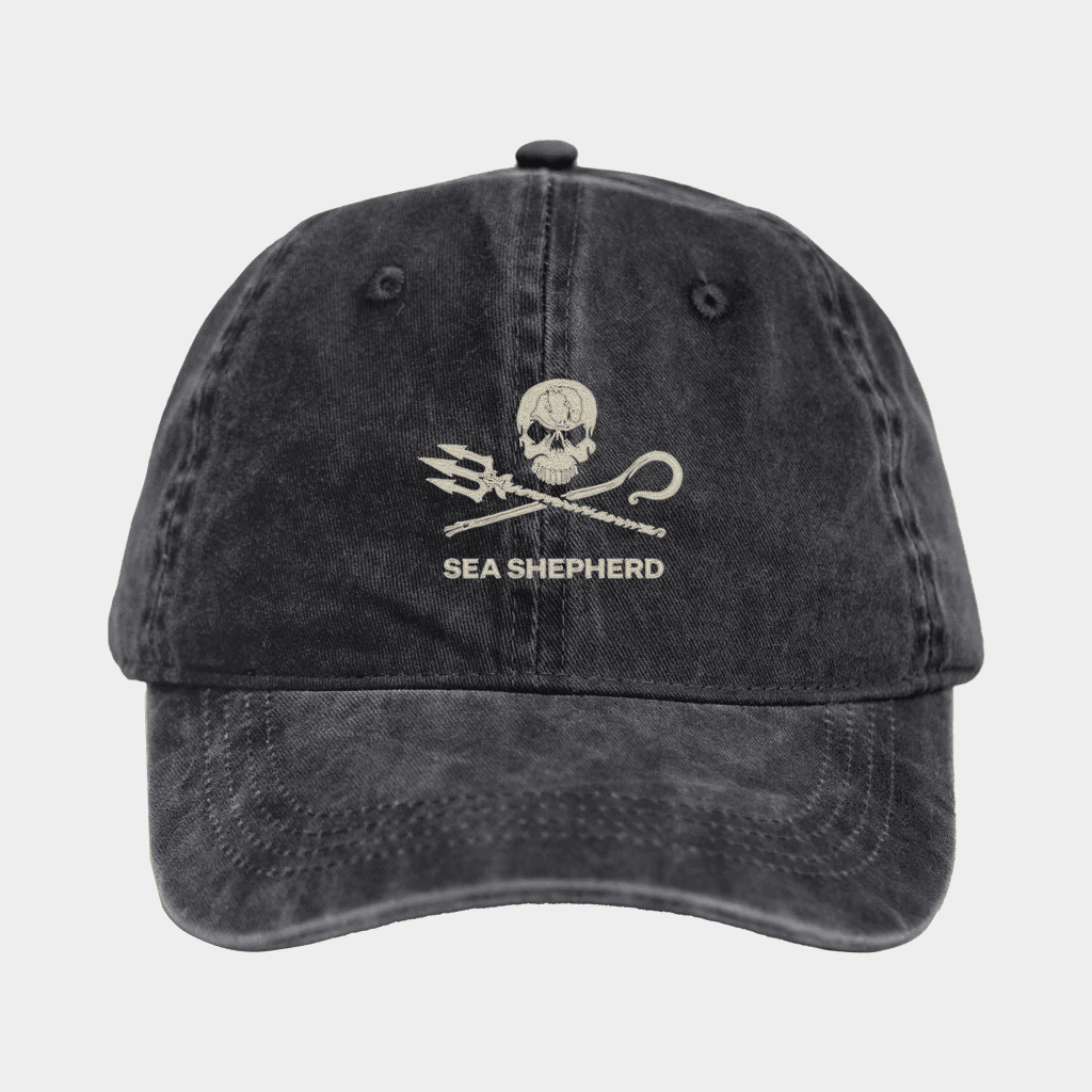Sea Shepherd Merch 2026 Sea Shepherd Jolly Roger Logo Hat Present For Ocean Lovers