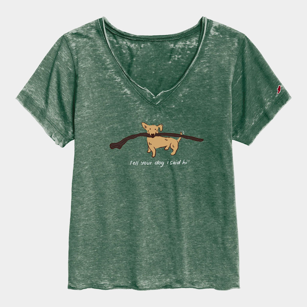 Tell Your Dog I Said Hi Merch 2026 Big Stick Burnout V-Neck Shirt Gift For Dog Lovers