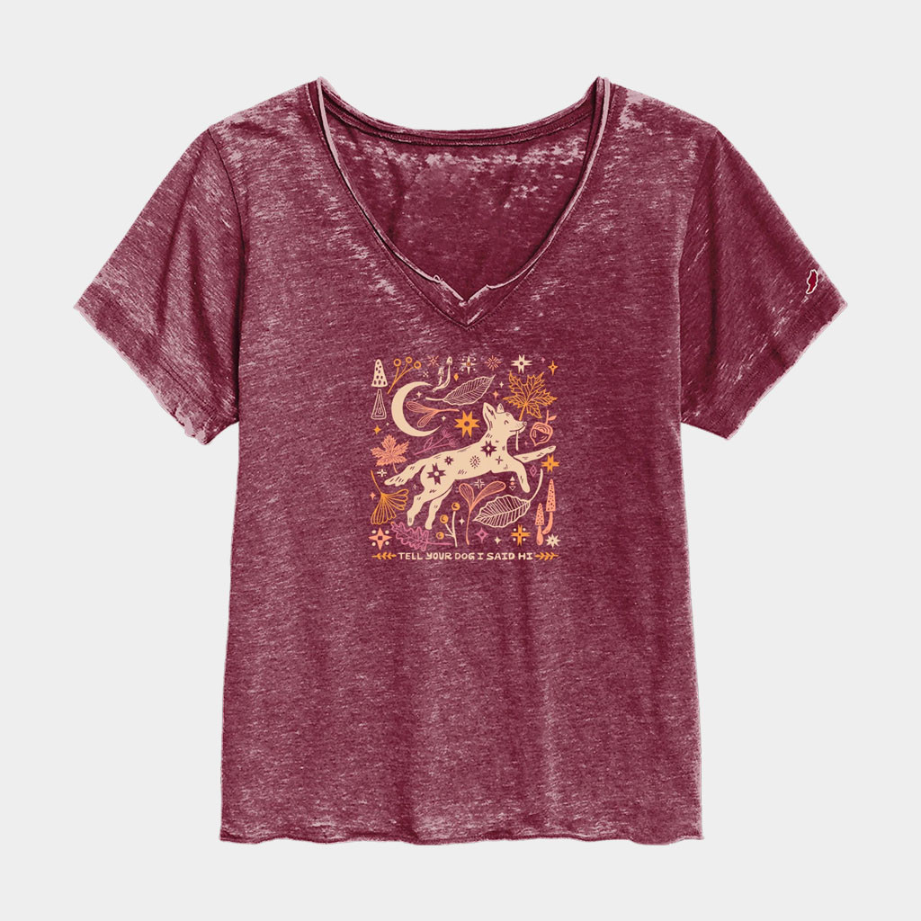 Tell Your Dog I Said Hi Merch 2026 Fall Harvest Burnout V-Neck Shirt Gift For Sisters